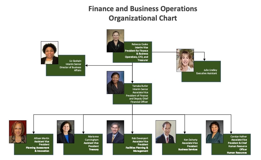 Organization Chart - Chief Business Officer, Chief Financial Officer 